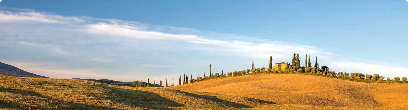 overlook_foto_news_0006